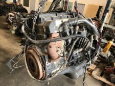 Motor MAN D0834 LFL02 Használt